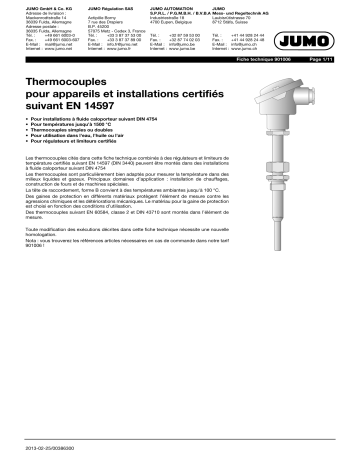 JUMO 901006 Thermocouple Fiche technique | Fixfr