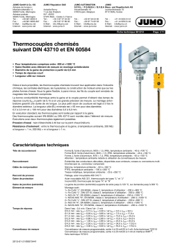 JUMO Mineral-Insulated Thermocouples Fiche technique