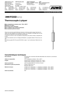 JUMO 901350 FOODtemp Insertion Thermocouple Fiche technique