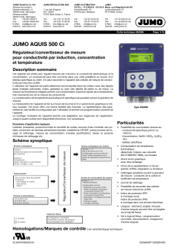 JUMO 202566 Transmitter/Controller Fiche technique