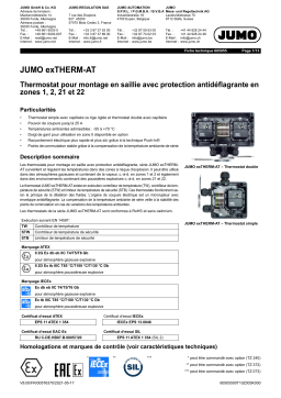 JUMO 605055 Explosion-Protected Surface-Mounted Thermostat Fiche technique