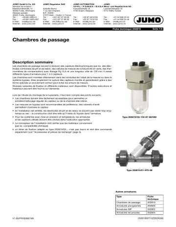 JUMO 202810 Flow-through fitting Fiche technique | Fixfr