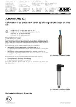 JUMO 404753 Pressure Transmitter or Level Probe Fiche technique