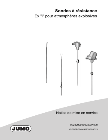 ATEX/IECEx RTD | JUMO PROCESStemp RTD Probe for Process Technology Mode d'emploi | Fixfr