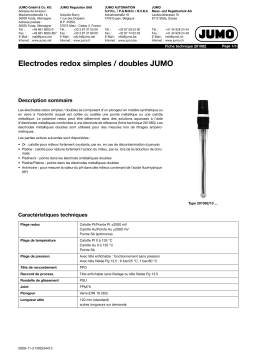 JUMO 201082 Metal/Metal Double Electrode Fiche technique