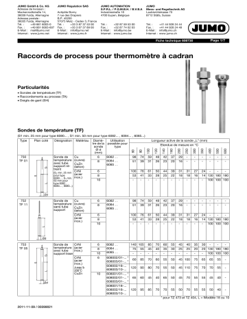 JUMO 608730 Process Connection Fiche technique | Fixfr