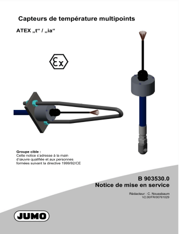 JUMO 903530 Multipoint Temperature Probe Mode d'emploi | Fixfr