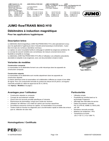 JUMO 406061 Electromagnetic Flowmeter Fiche technique | Fixfr