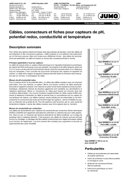 JUMO 202990 Cables and Connector Fiche technique