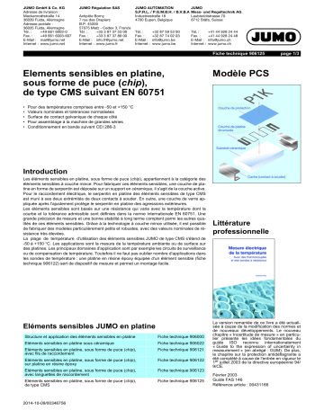 JUMO 906125 Platinum-Chip Temperature Sensor Fiche technique | Fixfr