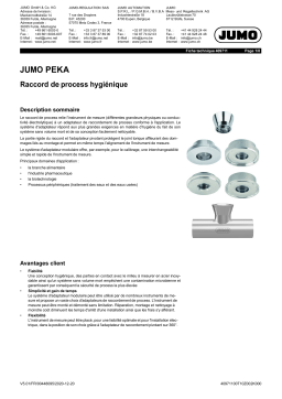 JUMO 409711 Hygienic Process Connection Fiche technique