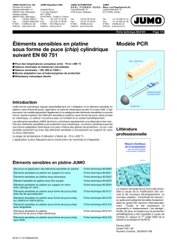 JUMO 906124 Platinum chip temperature probe Fiche technique