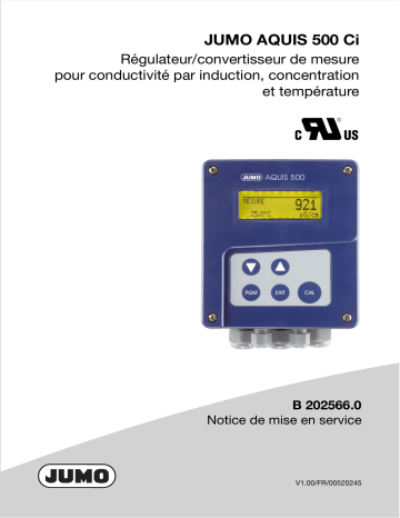 JUMO 202566 Transmitter/Controller Mode d'emploi | Fixfr