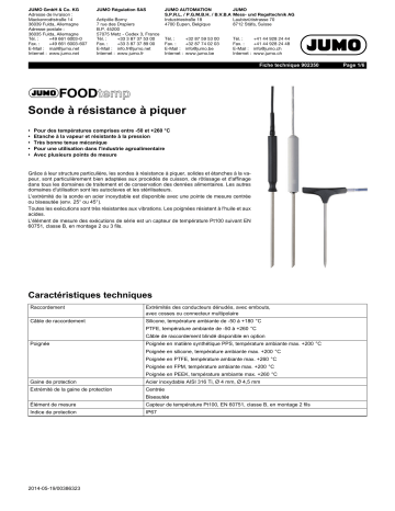 JUMO 902350 FOODtemp Insertion RTD Temperature Probe Fiche technique | Fixfr