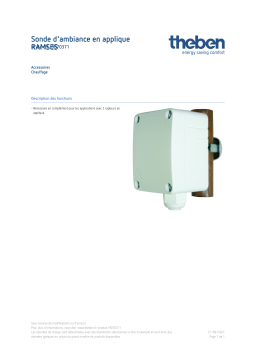 THEBEN Flow temperature sensor RAMSES Fiche technique