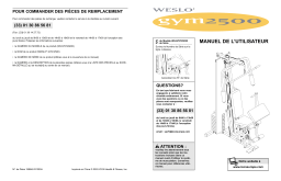 Weslo WLEVSY2922 2500 SYSTEM Manuel utilisateur