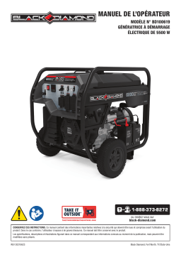 Champion Power Equipment 100619 Black Diamond 5500-Watt Electric Start Generator BD100619 Manuel utilisateur