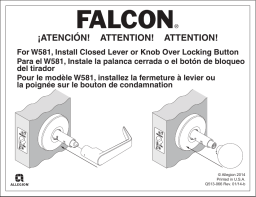 Falcon W Manuel utilisateur