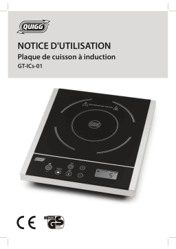 Quigg GT-ICs-01 Induction Cooker, single Manuel utilisateur