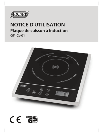 Quigg GT-ICs-01 Induction Cooker, single Manuel utilisateur | Fixfr