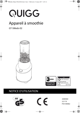 Quigg GT-SMeds-02 Smoothie Maker Manuel utilisateur