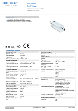 Baumer DAB10-AL Bridge Amplifier Fiche technique