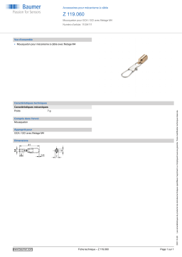 Baumer Z 119.060 Mounting cable transducer Fiche technique