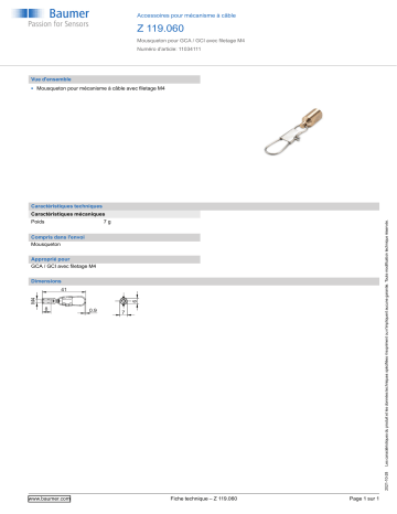 Baumer Z 119.060 Mounting cable transducer Fiche technique | Fixfr