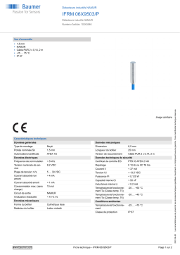 Baumer IFRM 06X9503/P Inductive sensors NAMUR Fiche technique