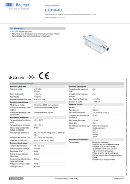 Baumer DAB10-AU Bridge Amplifier Fiche technique