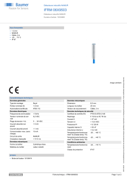 Baumer IFRM 06X9503 Inductive sensors NAMUR Fiche technique