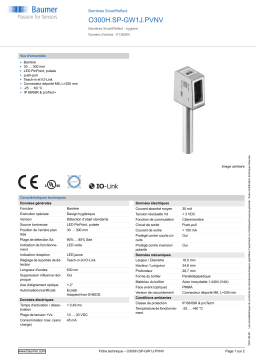 Baumer O300H.SP-GW1J.PVNV SmartReflect Light barrier Fiche technique