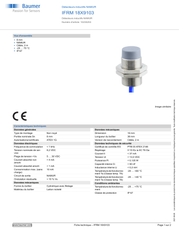 Baumer IFRM 18X9103 Inductive sensors NAMUR Fiche technique | Fixfr