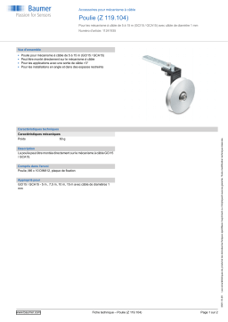 Baumer Idler pulley (Z 119.104) Mounting cable transducer Fiche technique