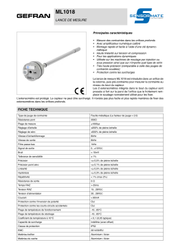 gefran ML1018 Measuring lance Fiche technique