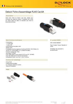 DeLOCK 86965 RJ45 Plug field assembly Cat.6A Fiche technique