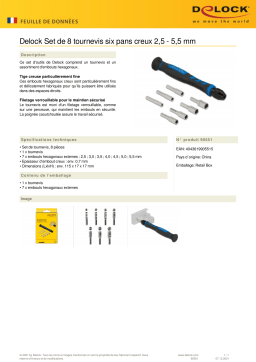 DeLOCK 90551 Screwdriver Set 8 pieces external hexagonal hollow shaft 2.5 - 5.5 mm Fiche technique