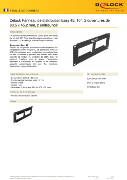 DeLOCK 81379 Easy 45 10″ Patch Panel cut-out 2 x 90.5 x 45.2 mm, 2U, black Fiche technique