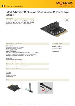 DeLOCK 64137 Adapter M.2 key A+E male to key M slot angled Fiche technique