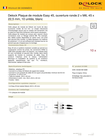 DeLOCK 81369 Easy 45 Module Plate Round cut-out 2 x M6, 45 x 22.5 mm 10 pieces white Fiche technique | Fixfr