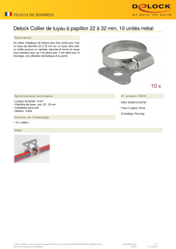 DeLOCK 19578 Butterfly Hose Clamp 22 - 32 mm 10 pieces metal Fiche technique