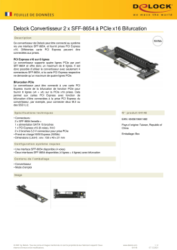 DeLOCK 64148 Converter 2 x SFF-8654 to PCIe x16 Bifurcation  Fiche technique