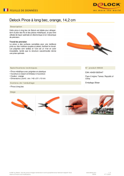 DeLOCK 90544 Long Nose pliers orange 14.2 cm Fiche technique