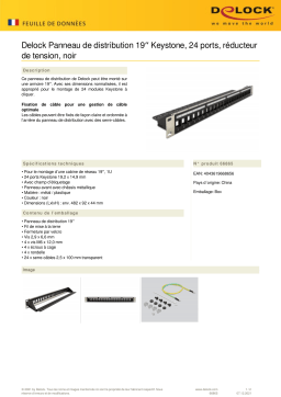 DeLOCK 66865 19″ Keystone Patch Panel 24 port Fiche technique