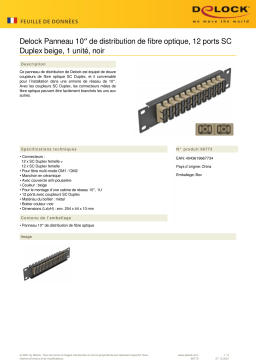 DeLOCK 66773 10″ Fiber Optic Patch Panel 12 Port SC Duplex beige 1U black Fiche technique