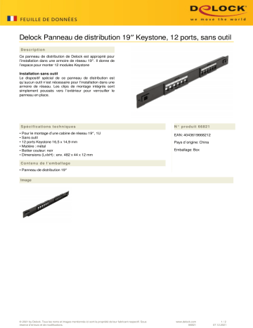 DeLOCK 66821 19″ Keystone Patch Panel 12 Port tool free Fiche technique | Fixfr