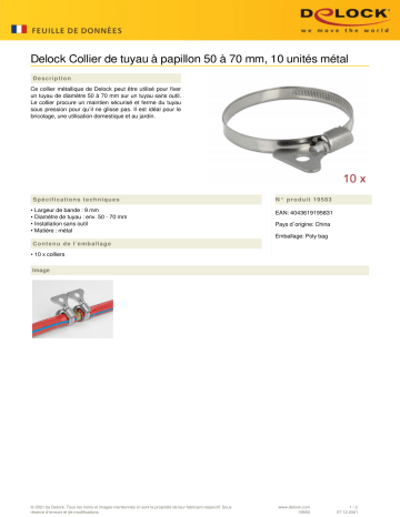 DeLOCK 19583 Butterfly Hose Clamp 50 - 70 mm 10 pieces metal Fiche technique | Fixfr