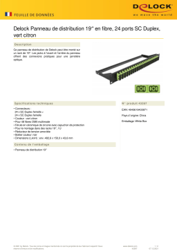 DeLOCK 43397 19″ Fibre Patch Panel 24 port SC Duplex limegreen Fiche technique