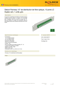 DeLOCK 66787 10″ Fiber Optic Patch Panel 12 Port LC Duplex green 1U grey Fiche technique