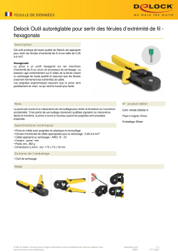 DeLOCK 90561 Tool for crimping wire end ferrules self-adjusting - hexagon Fiche technique